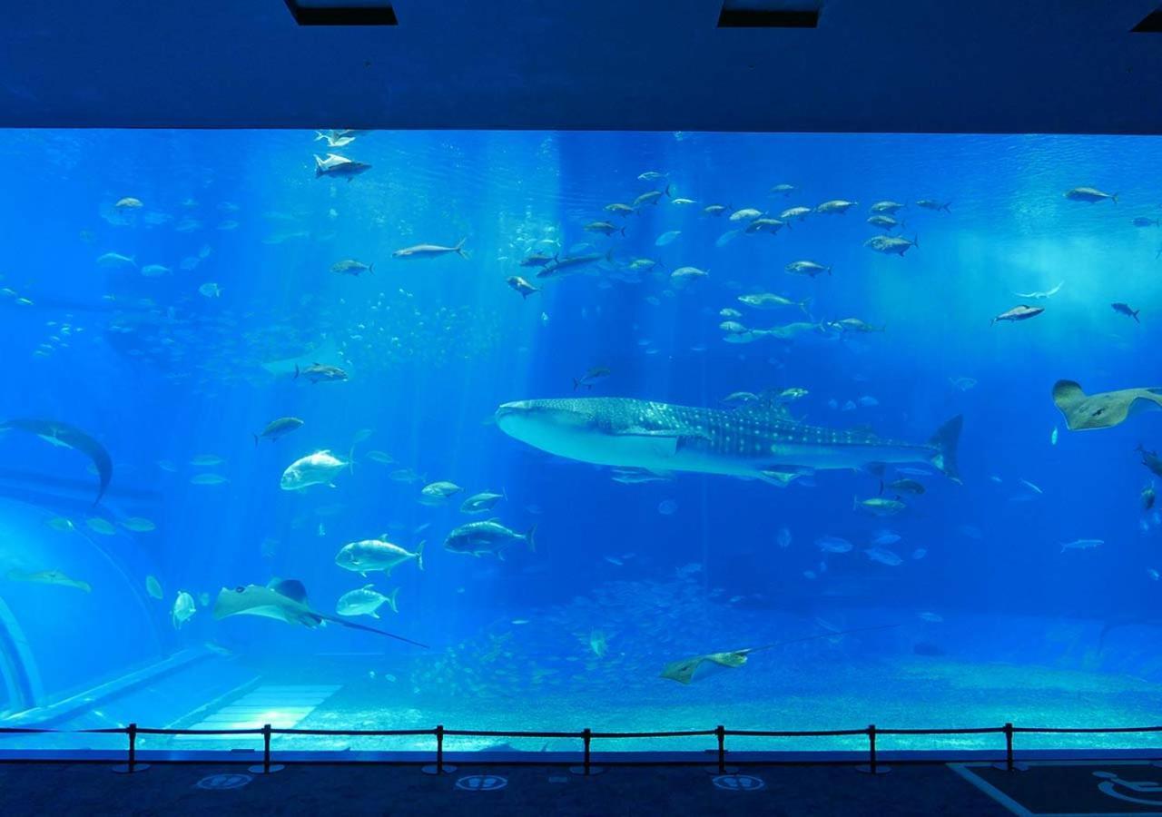 Hotel Mahaina Wellness Resorts Okinawa Exterior foto